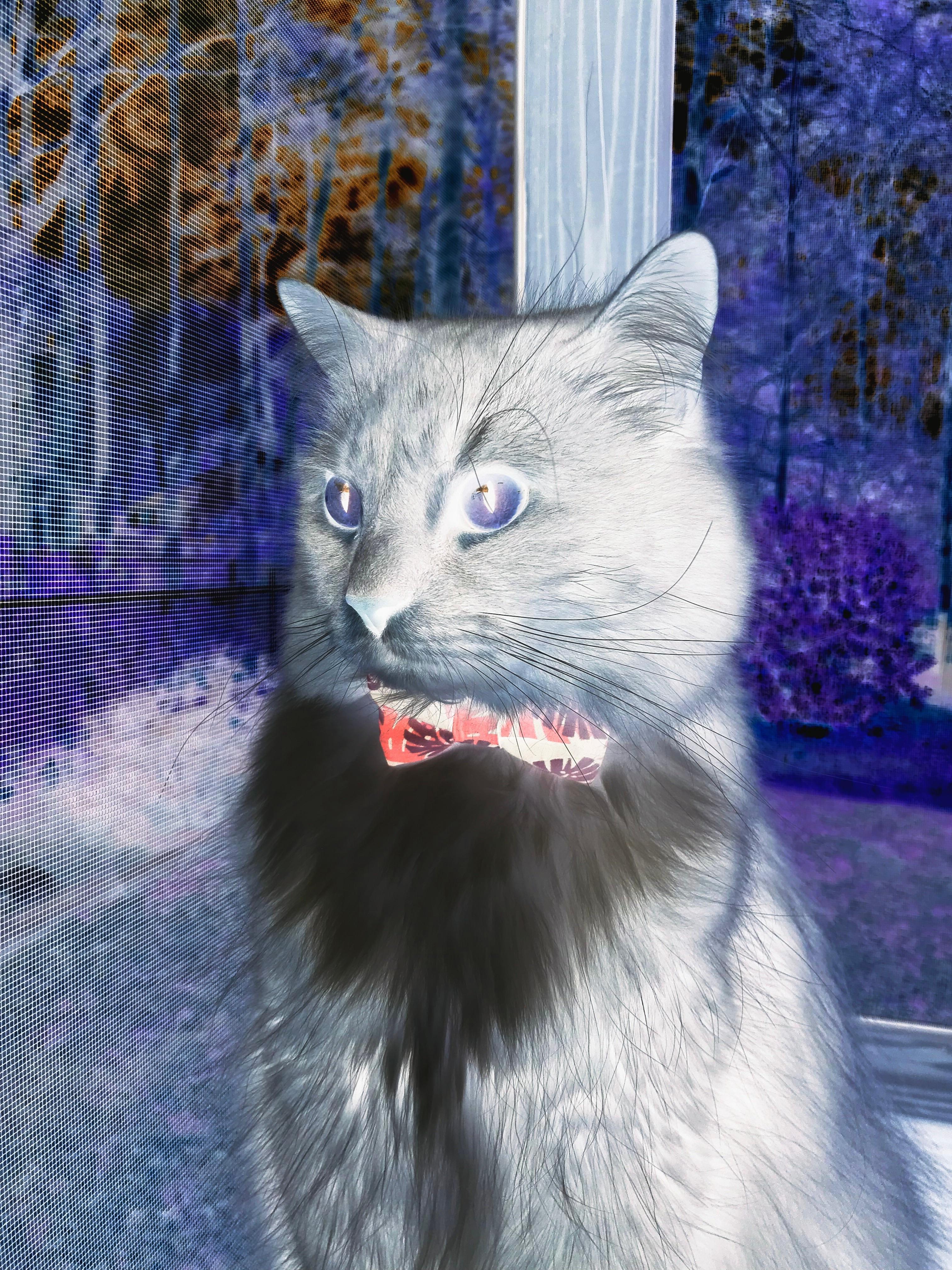 史上最震撼的欧冠“对决瞬间”集锦,史上最精彩的欧冠决赛