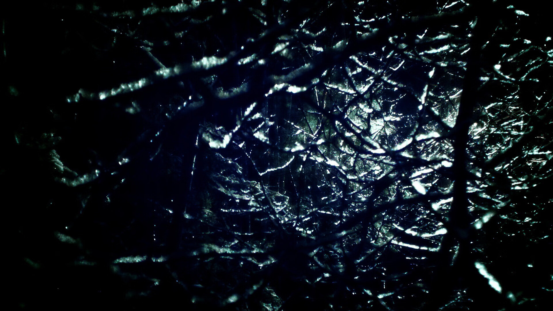 女排联赛:逆转绝杀惊艳四座,女排联赛程