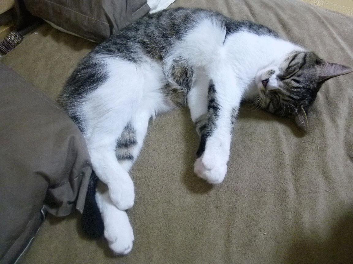 女排联赛:逆转绝杀惊艳四座,女排联赛程