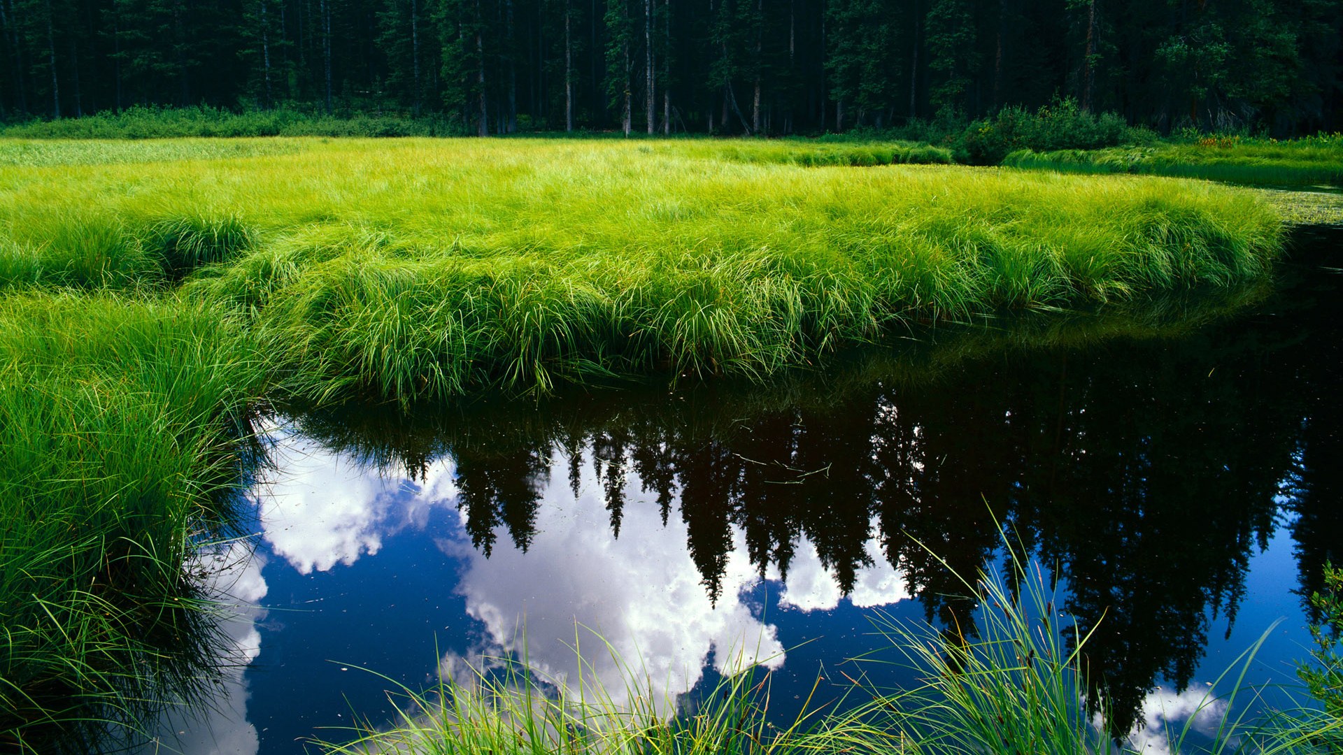 九游娱乐(jiuyou)官方网站-里昂中场多面手助阵，球队战力增强，里昂队首发阵容